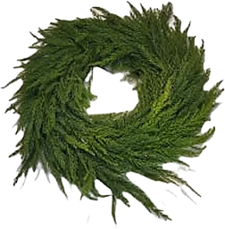 Kryptomeriakrans 30cm