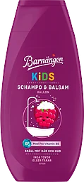 Schampo&Balsam Kids Hallon