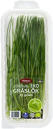 Gräslök EKO 25g Hällnäs Handelsträdgård