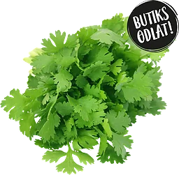 Koriander 40g Butiksodlad