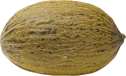 Piel de Sapomelon ca 1,25kg Klass 1