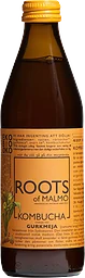 Kombucha Gurkmeja 330ml Roots of Malmö