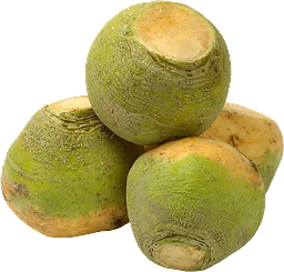 Kålrot