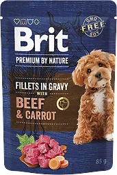 Beef & Carrot Filé Hundmat