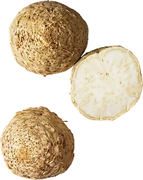 Rotselleri Delad