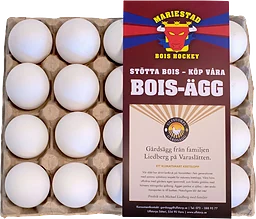 Ägg 20-pack M/L Frigående BOIS 20st Ulfstorps Gårdsägg