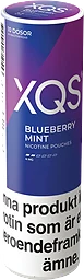 XQS Blueberry Mint Light 4mg Stock