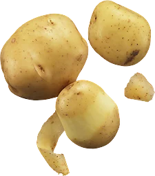 Potatis Fast Eko