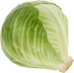 Vitkål Import Klass 1