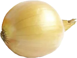 Lök Gul