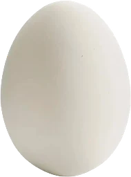 Kokt ägg