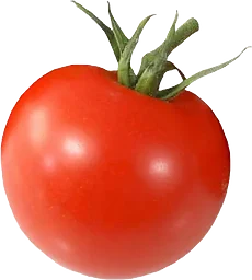 Kvisttomat Import